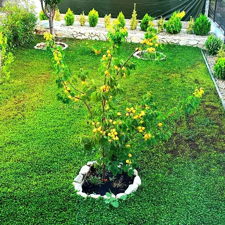 Apartamento La Harmony Jacuzzi With Garden *