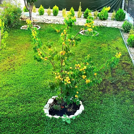Appartamento La Harmony Jacuzzi With Garden *